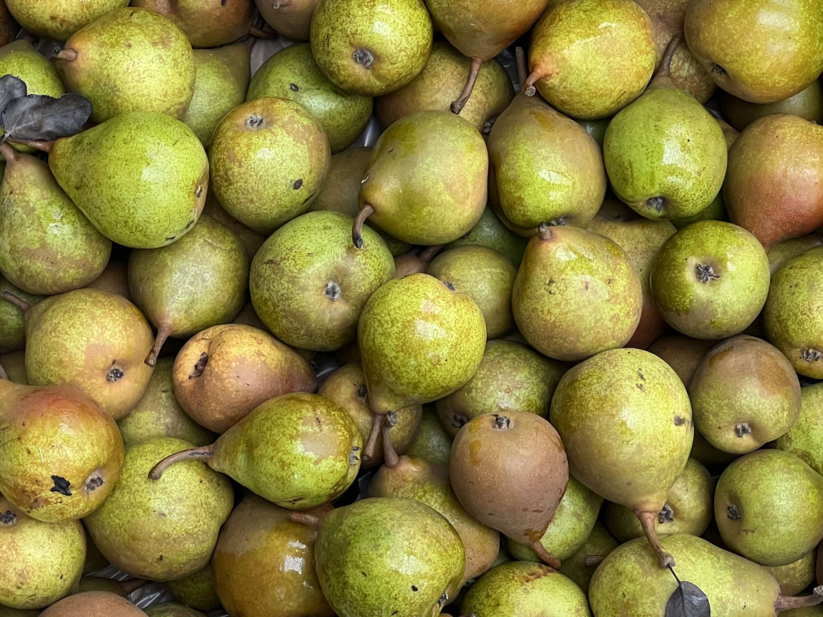 Product picture for Pears - Beurre Superfin