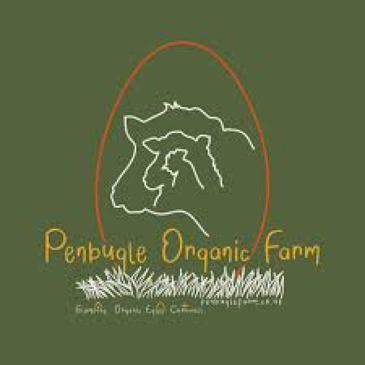 Product picture for Organic Cornish Eggs