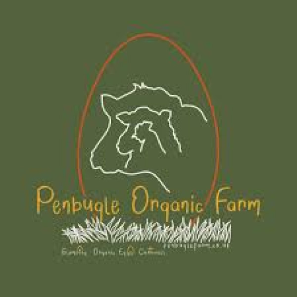 Thumbnail image for Organic Cornish Eggs