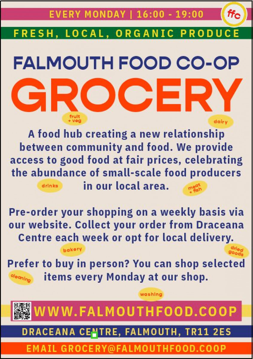 Product picture for Batch of 20 FFC fliers