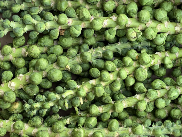 Thumbnail image for Brussel Sprouts