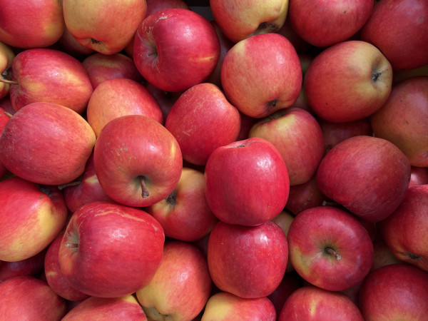 Thumbnail image for Apples, Aria